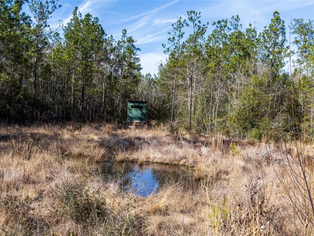 Land for sale in Kountze, Hardin County