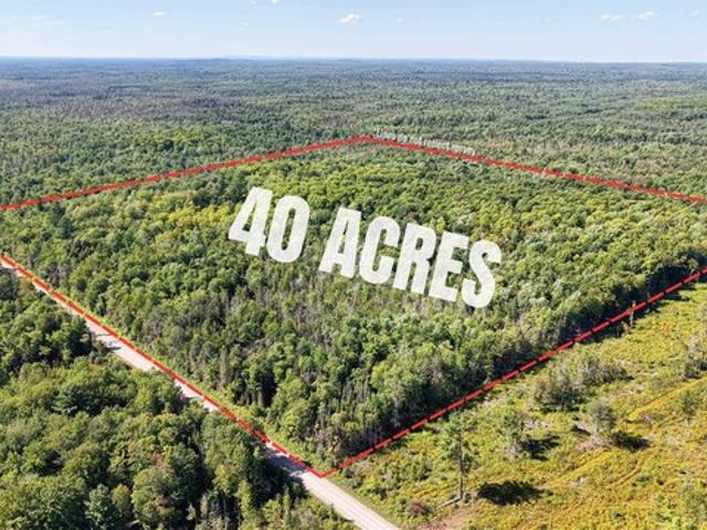 Land for sale in Rock, Maple Ridge Township