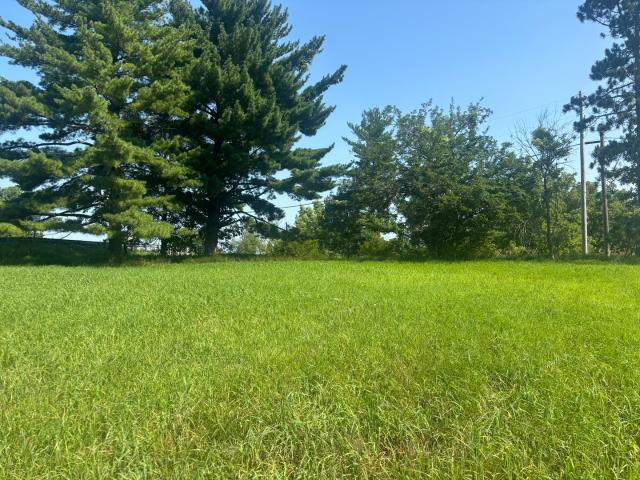 Land for sale in Marshall, Illinois