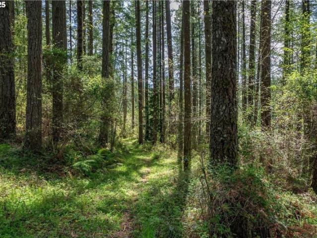 Land for sale in Hillsboro Land for sale in Hillsboro