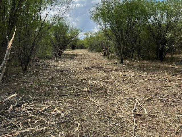 Land for sale in Dewitt, Texas