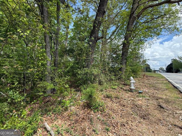 Land for sale in Conley, Georgia