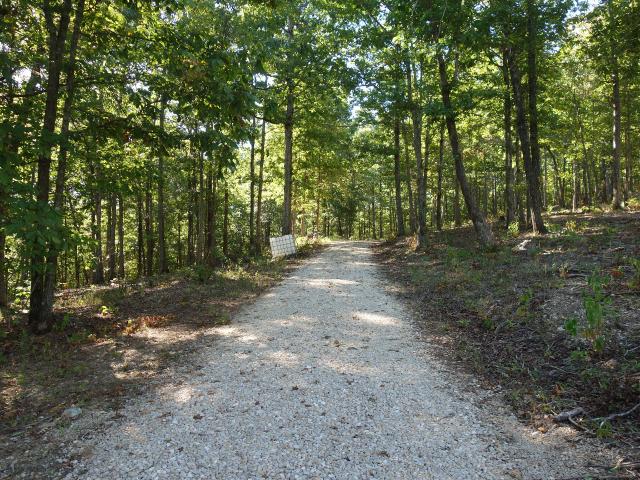 Land for sale in Eminence, Shannon County