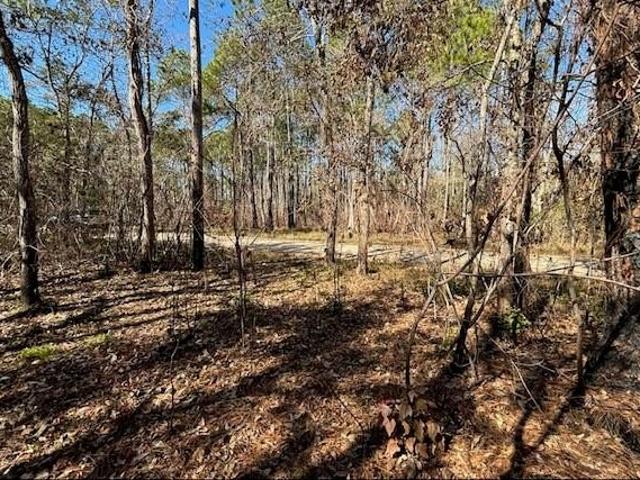 Land for sale in Alabama