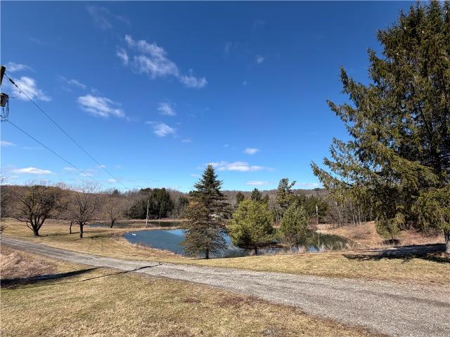 House for sale in Plymouth, New York
