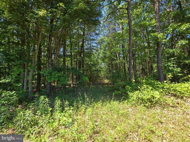 Land for sale in Points, West Virginia