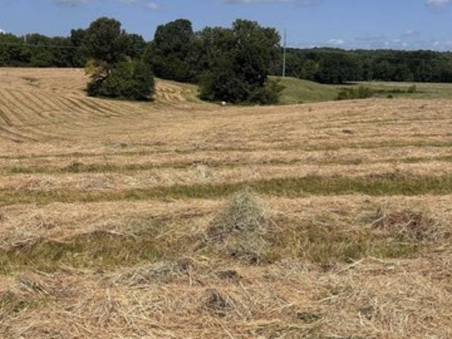 Land for sale in Piggott, Clay County
