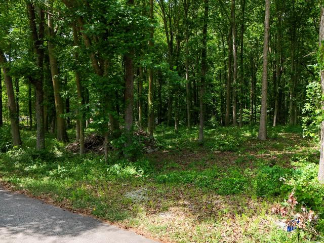 Land for sale in Bowersville, Georgia