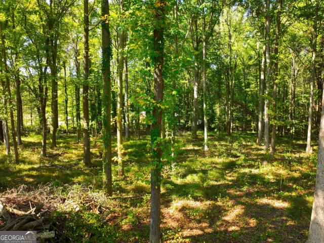 Land for sale in Bowersville, Hart County
