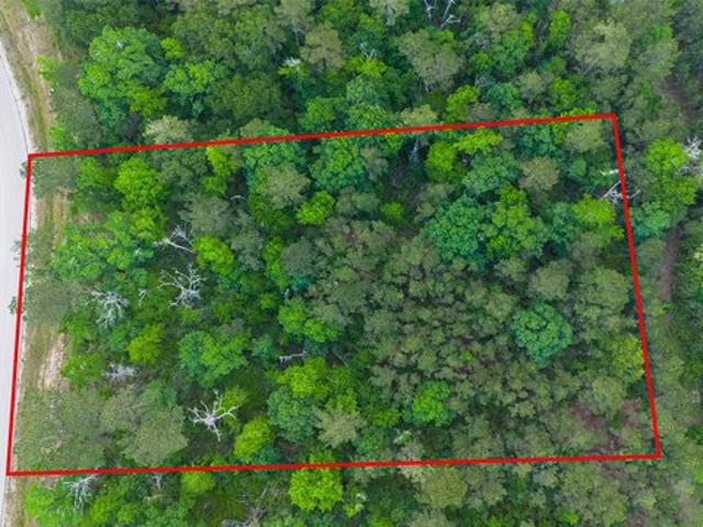 Land for sale in Walker, Texas