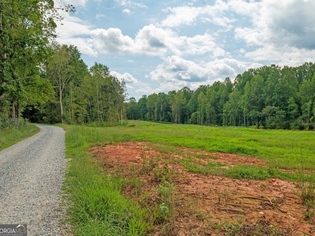 Land for sale in Banks, Georgia