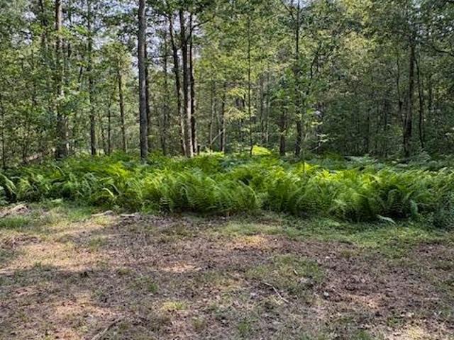 House for sale in Clarence, Pennsylvania