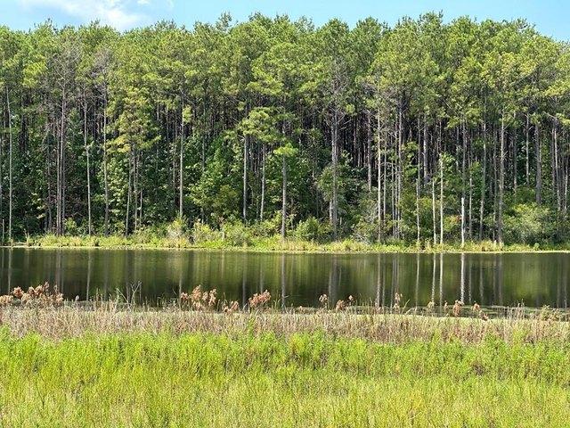 Land for sale in Poplarville, Mississippi