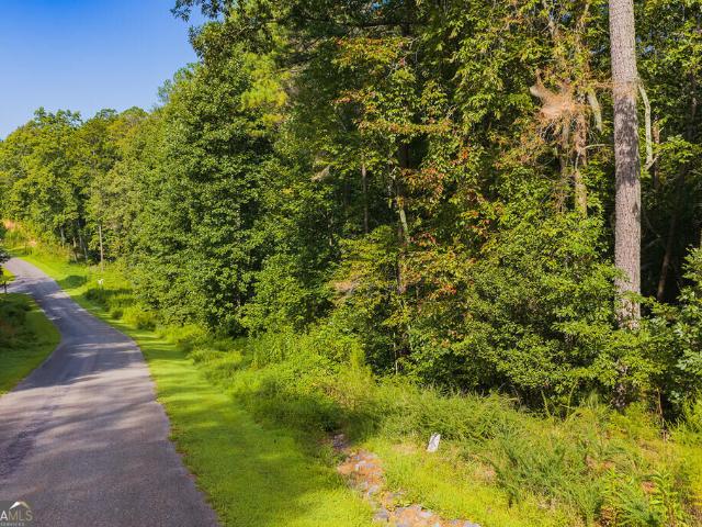 Land for sale in Gilmer, Georgia