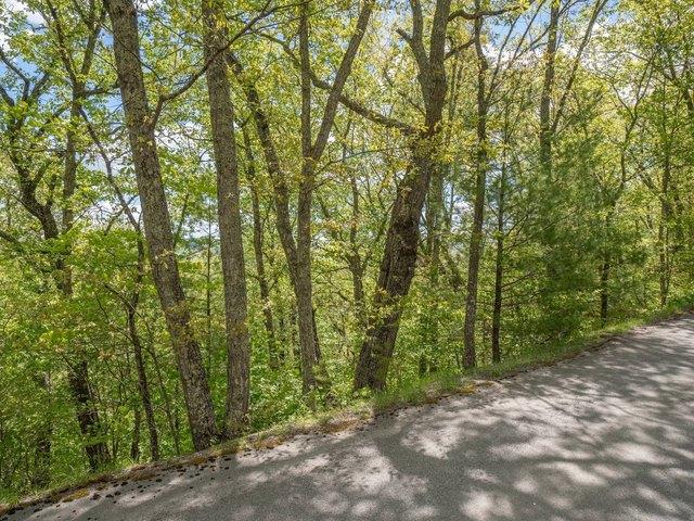 Land for sale in White Sulphur Springs, West Virginia