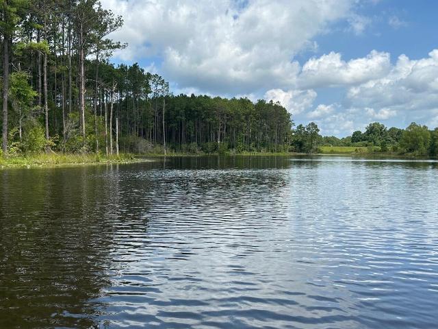 Land for sale in Poplarville, Mississippi