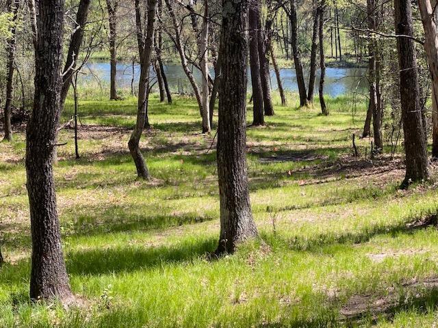 Land for sale in Nekoosa, Wisconsin