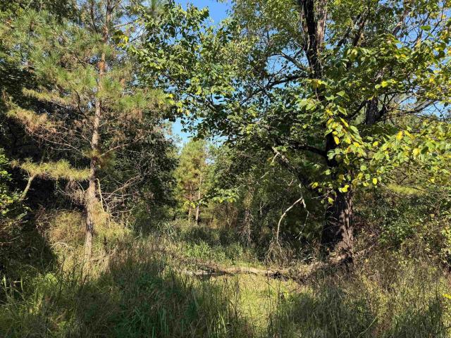 Land for sale in Ark