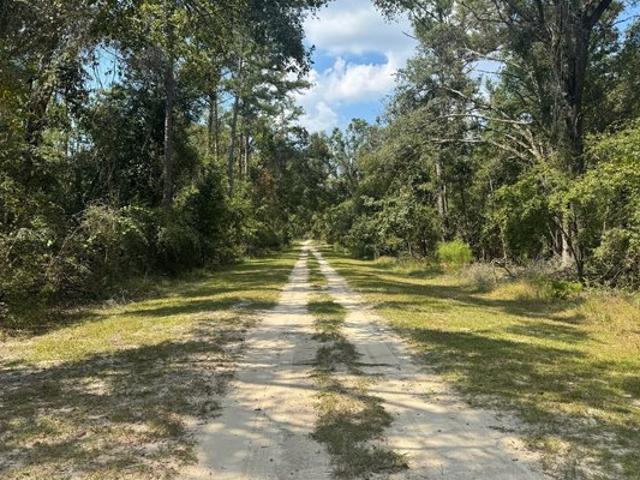 Land for sale in Suwannee, Florida