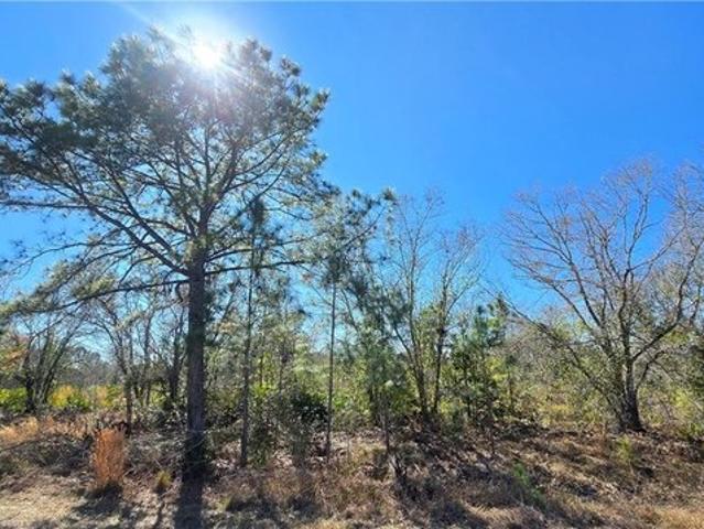 Land for sale in Avon Park, Florida
