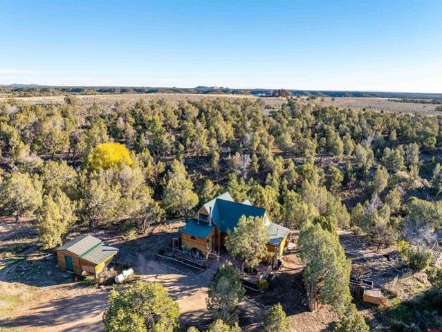 House for sale in La Plata, Colorado