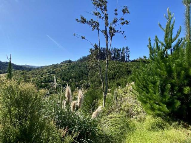 Property for sale in Whitianga, Waikato