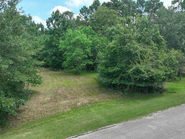 Land for sale in Magnolia, Texas