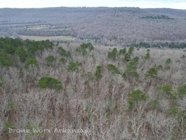 Land for sale in Ark