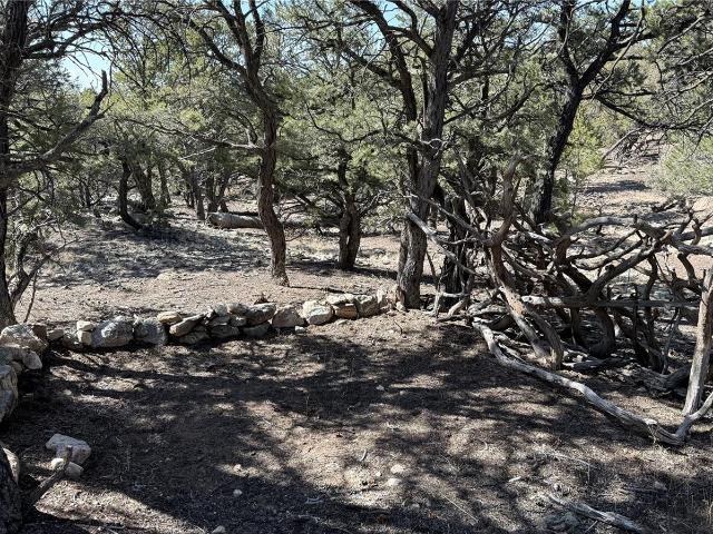 Land for sale in Crestone, Saguache County