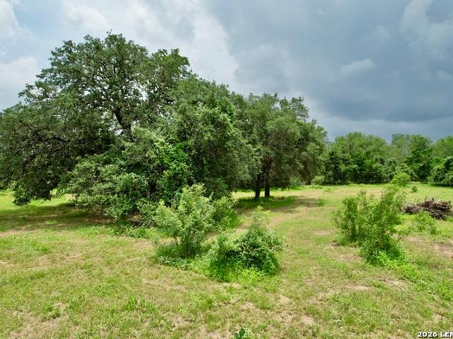Land for sale in Pleasanton, Texas