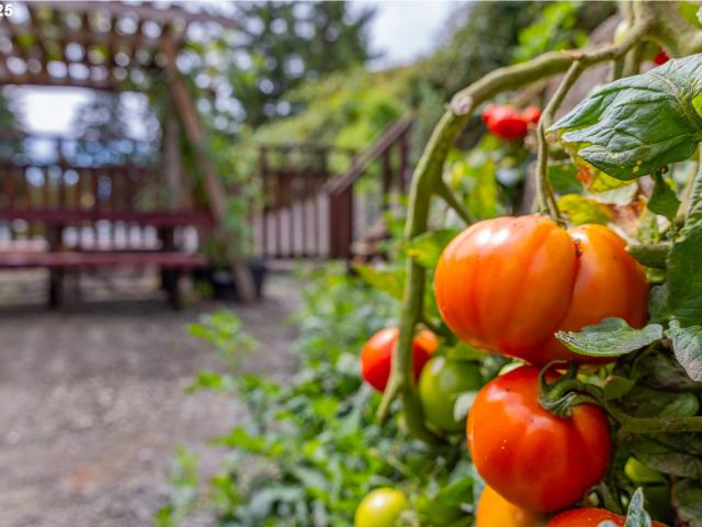 House for sale in Myrtle Point, Oregon