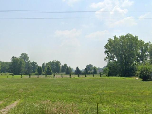 Land for sale in Alembic, Chippewa Township