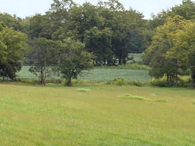 Land for sale in Versailles, Kentucky