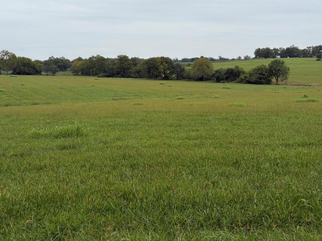 Land for sale in Versailles, Woodford County