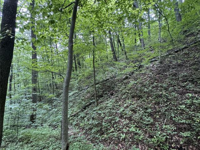 Land for sale in Bryson City, North Carolina