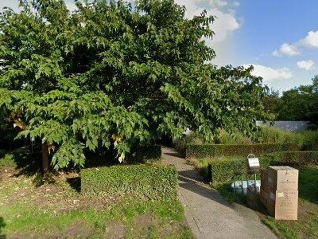 Bureau location à Asper, Oost-Vlaanderen