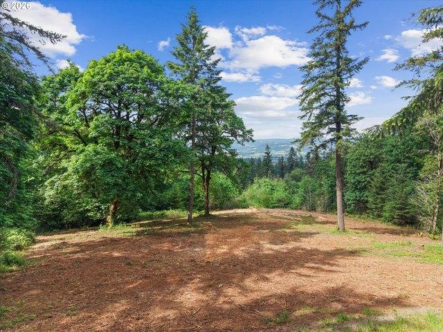 Land for sale in Oregonia
