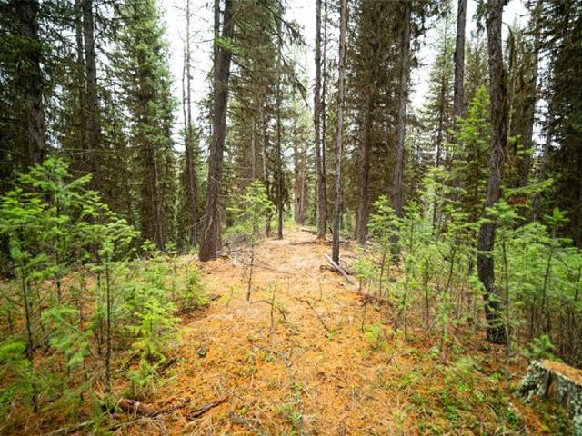 Land for sale in Montana
