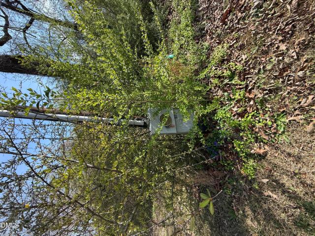 Land for sale in Coats, North Carolina