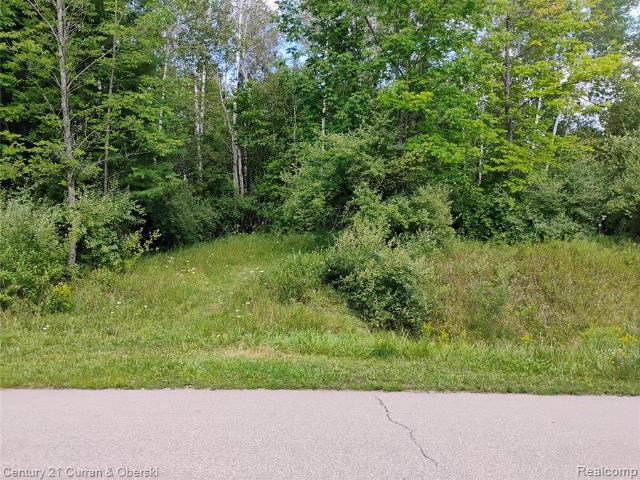 Land for sale in Wagarville, Michigan