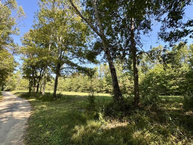Land for sale in High Point, East Tennessee