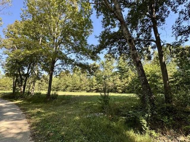 Land for sale in Deer Lodge, East Tennessee