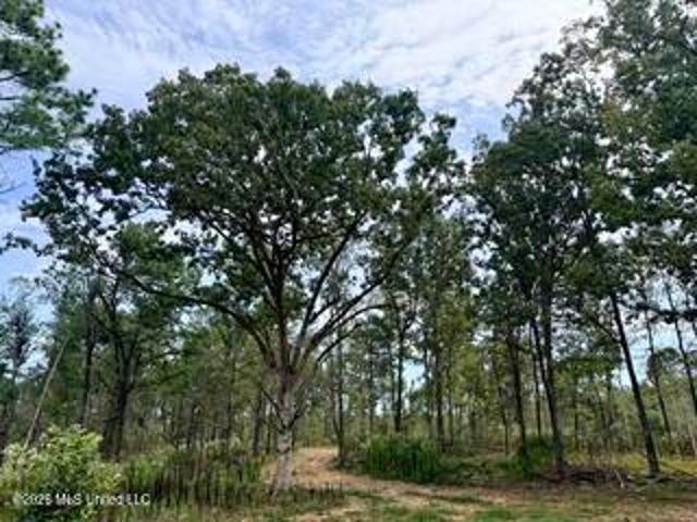 Land for sale in Como, Lafayette County