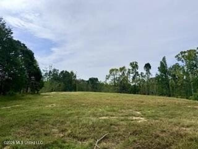 Land for sale in Como, Panola County