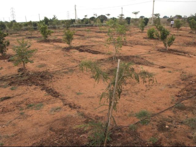 Land for sale in Haidarabad, Telangana