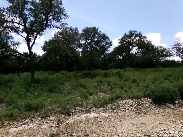 Land for sale in Hondo