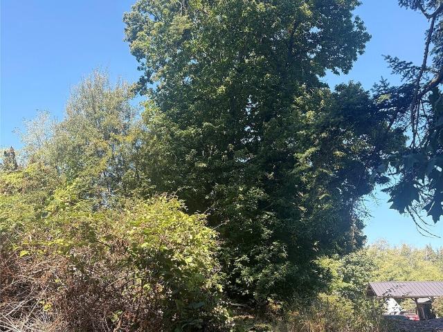 Land for sale in Freeland, Island County