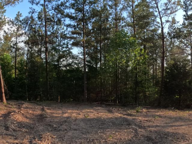 Land for sale in Tennessee