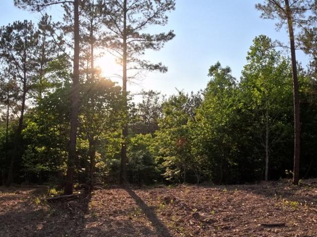 Land for sale in Linden, Middle Tennessee