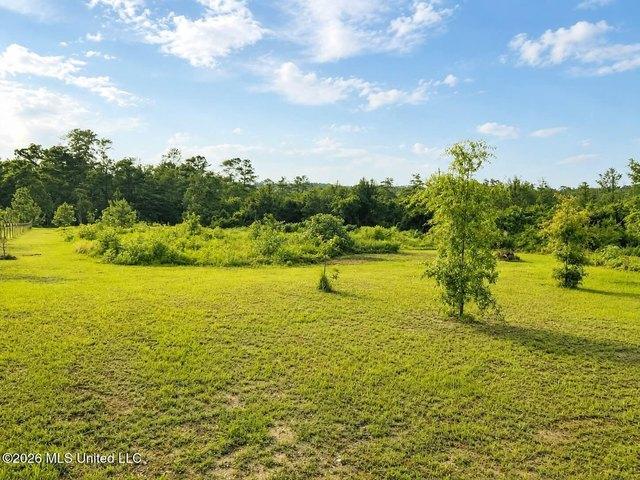 Land for sale in Lucedale, Mississippi